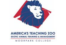ILTA Moorpark大学