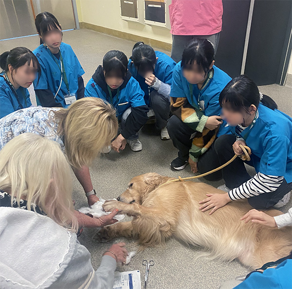 動物看護実習