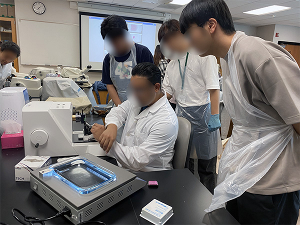 現地の大学生と実習体験